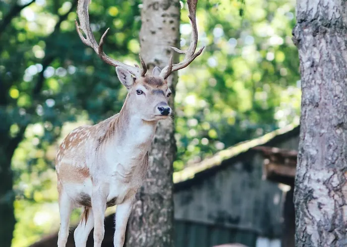 Familienhof Bruening - Hofblick Apartman *